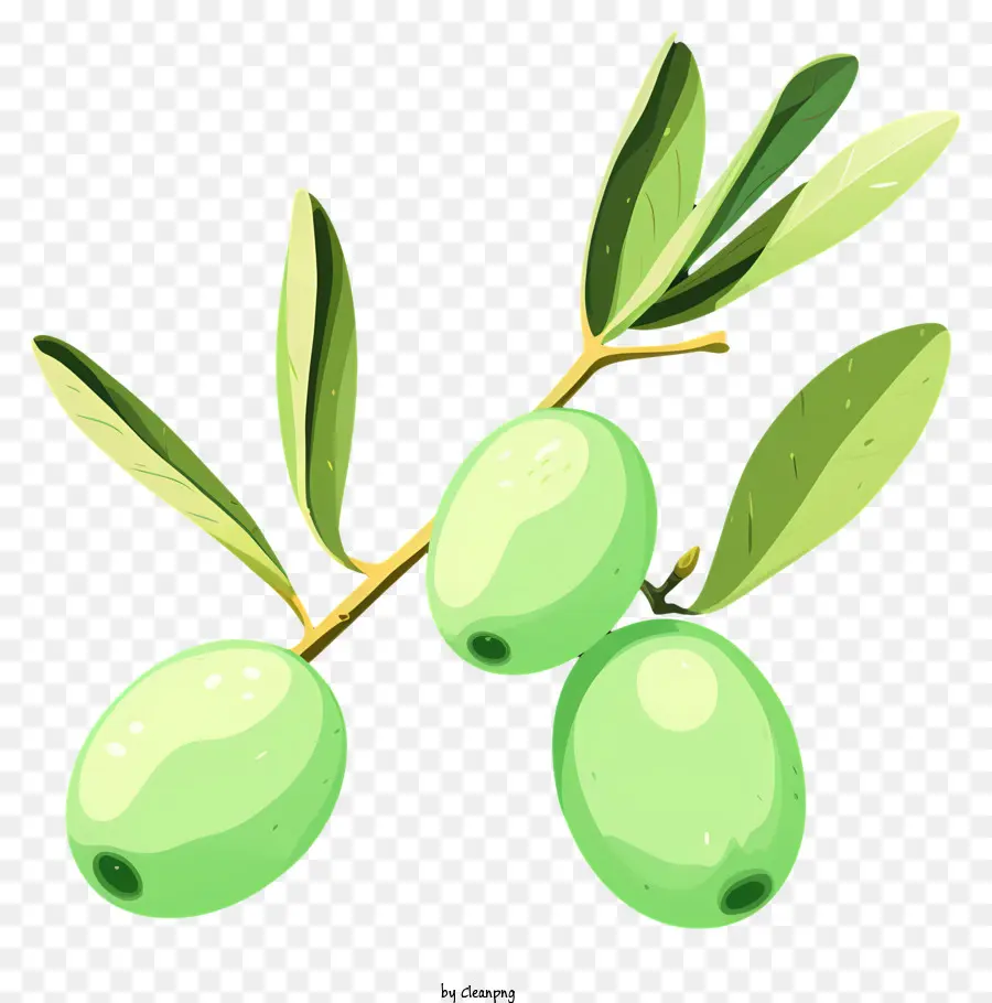 Плоская оливковая ветка，Оливки PNG