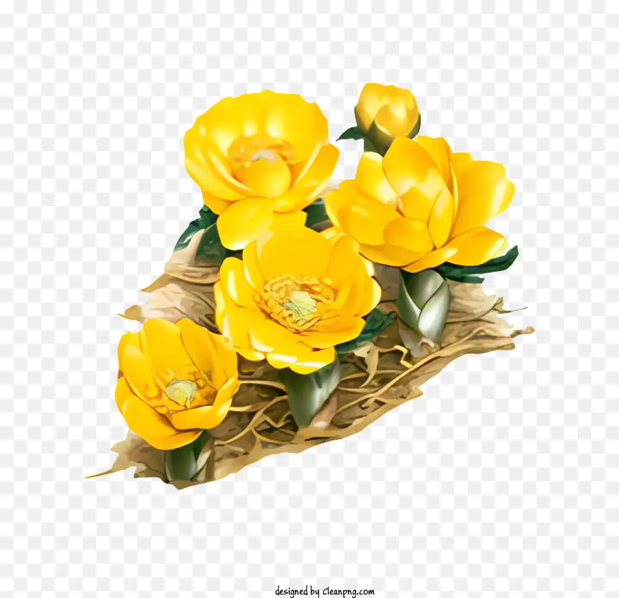 цветок，желтые цветы PNG