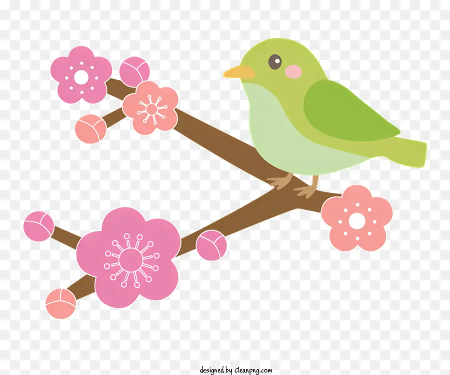 весна，Милая зеленая птица PNG