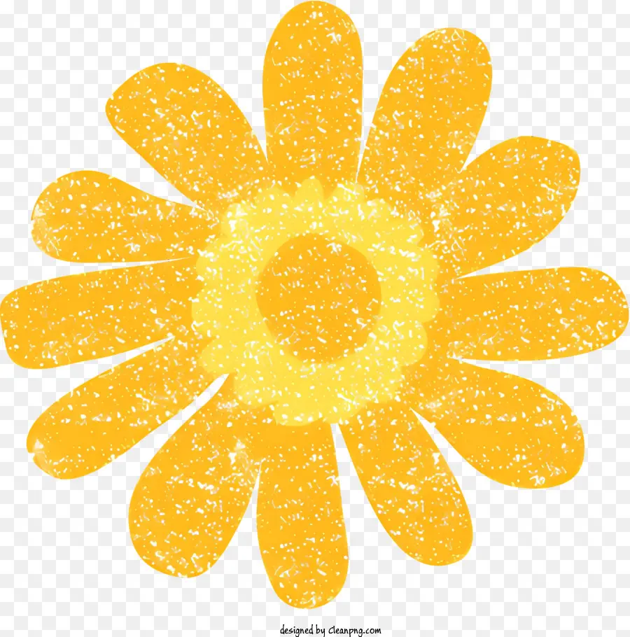 Желтая ромашка，цветок PNG