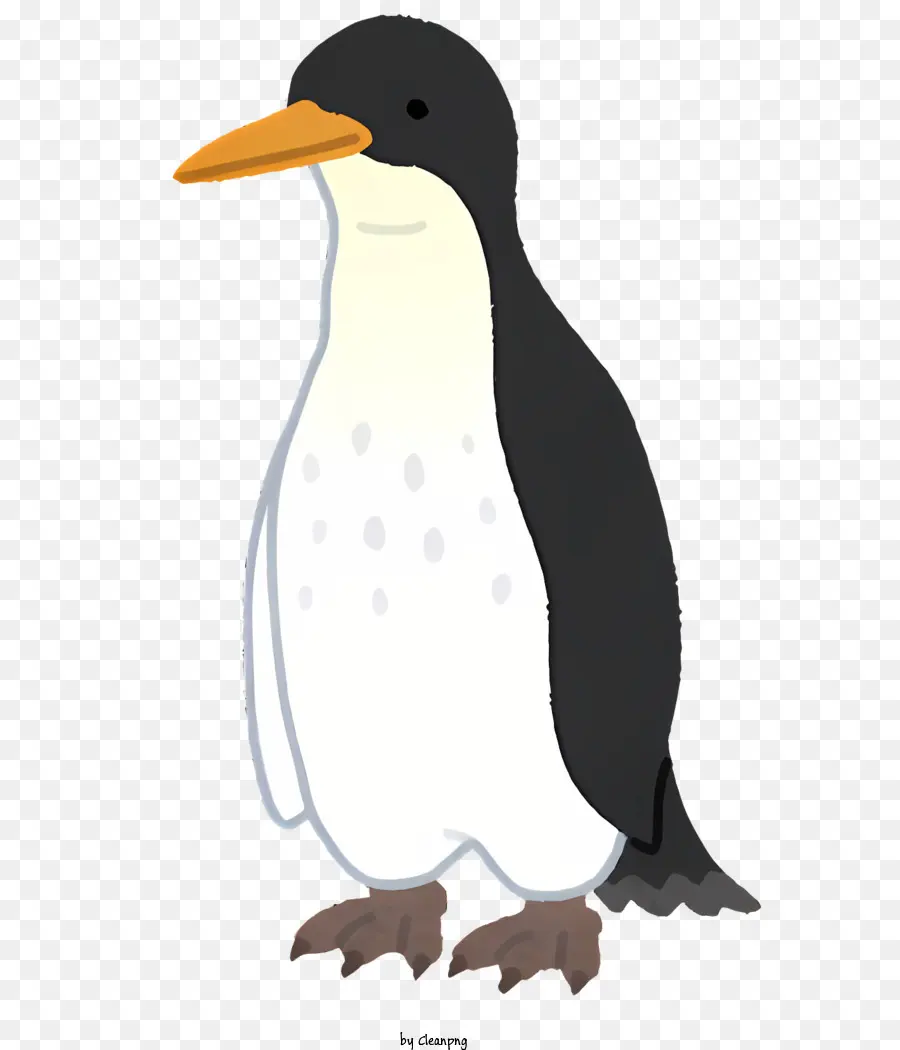 Пингвин，черный и белый пингвин PNG