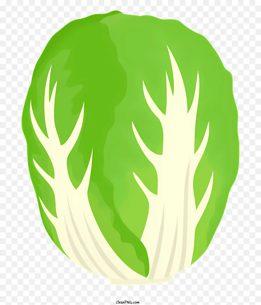 Овощ，Lettuce PNG