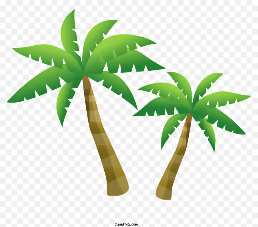 пальму，пальмы PNG