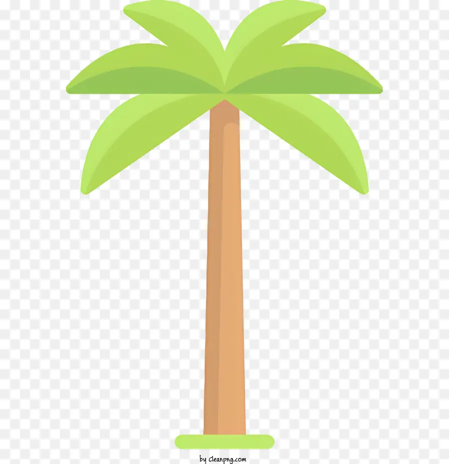 пальму，Зеленый навес PNG