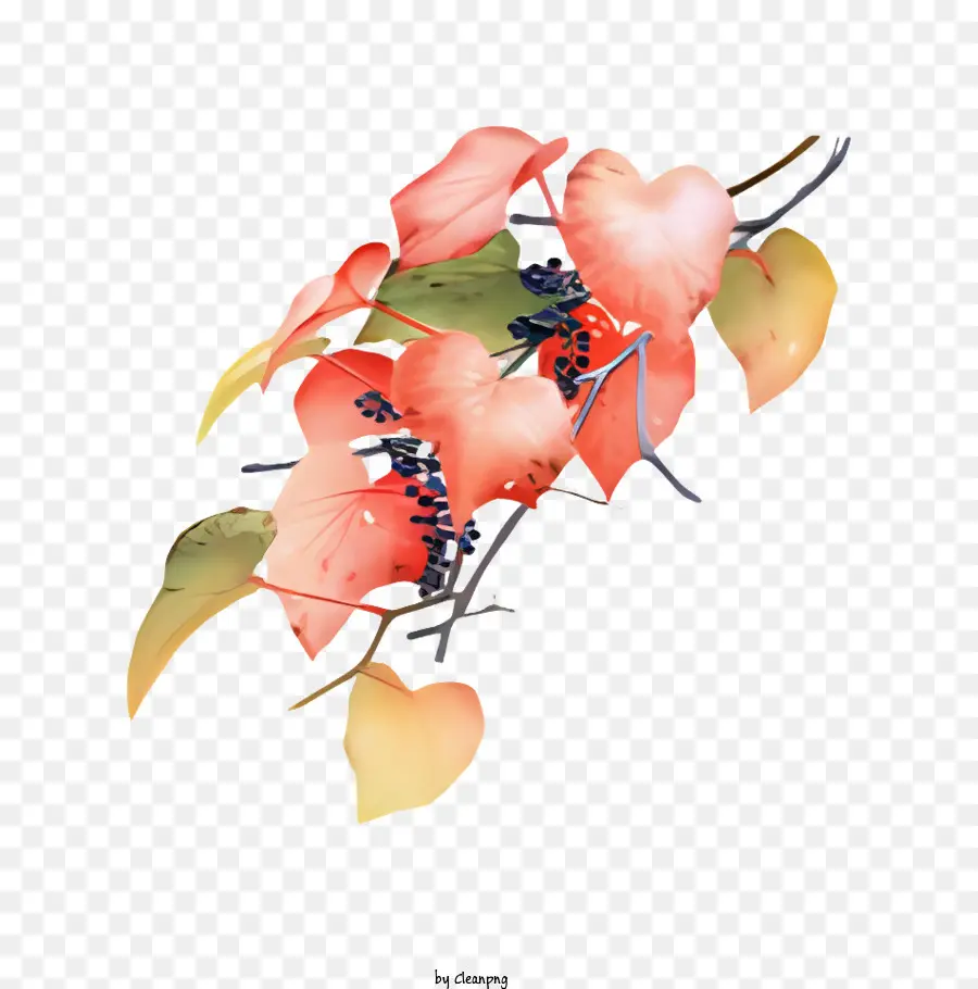 цветок，Листовое растение PNG