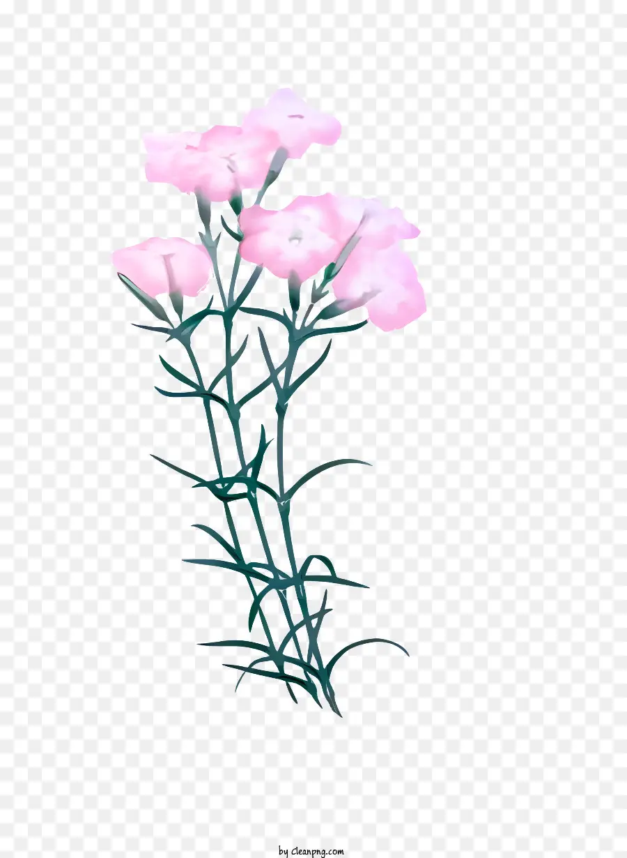 цветок，розовый цветок PNG