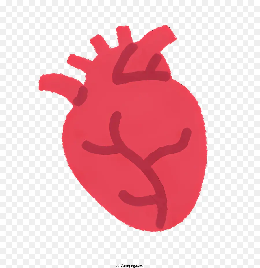 анатомия сердца，Человеческое сердце PNG