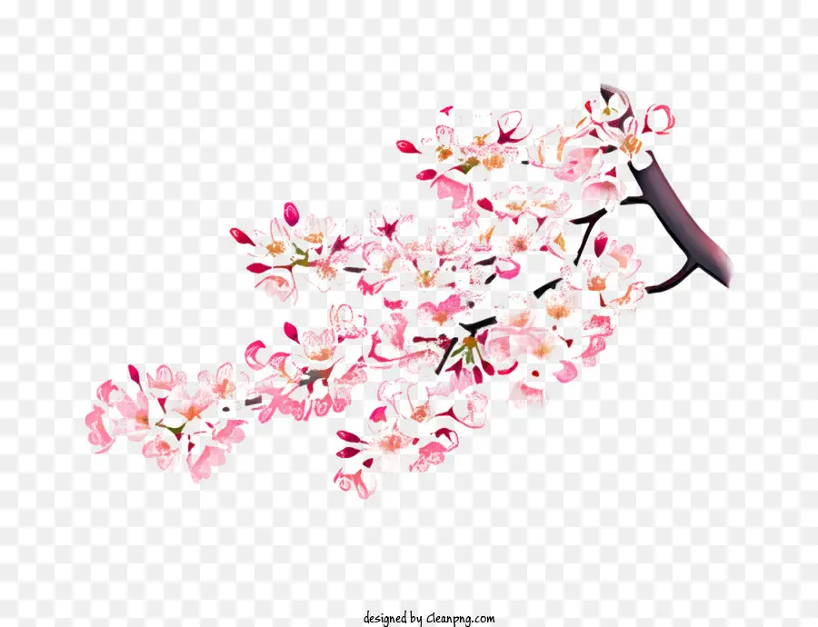 весна，Розовые цветы PNG