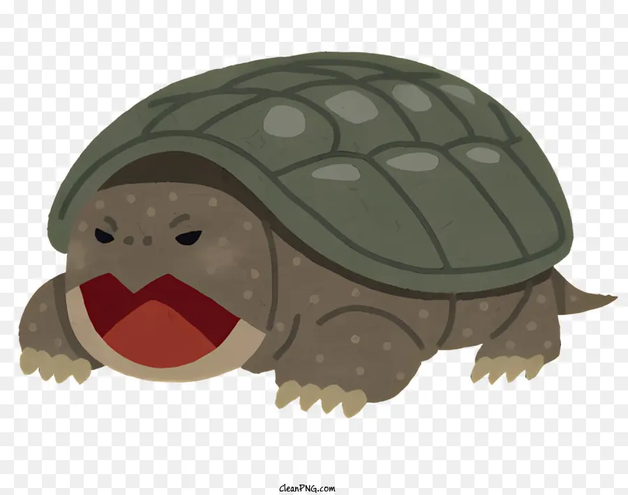симпатичные черепаха，Дружелюбная черепаха PNG