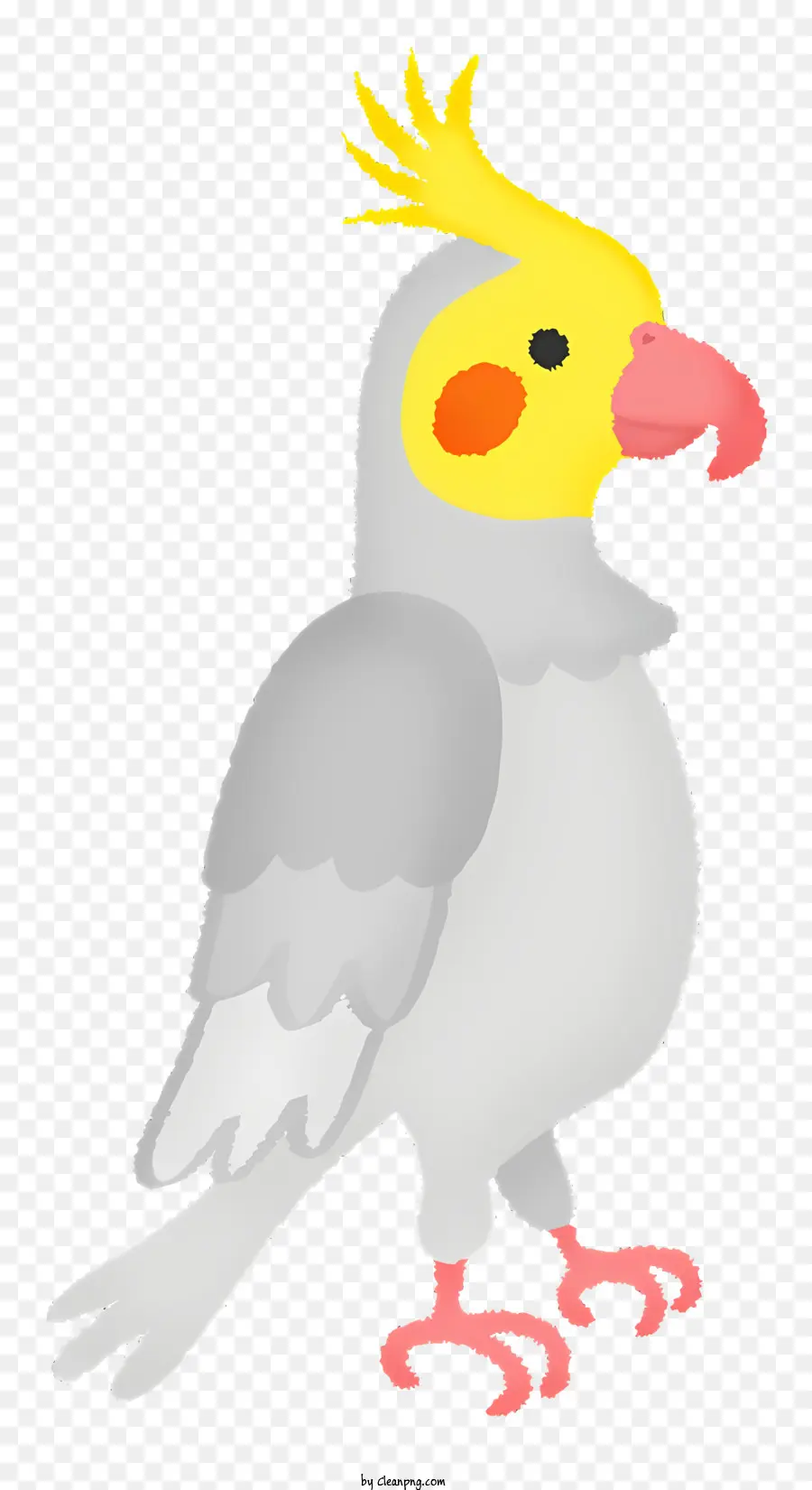 Серый попугай，пернатый попугай PNG