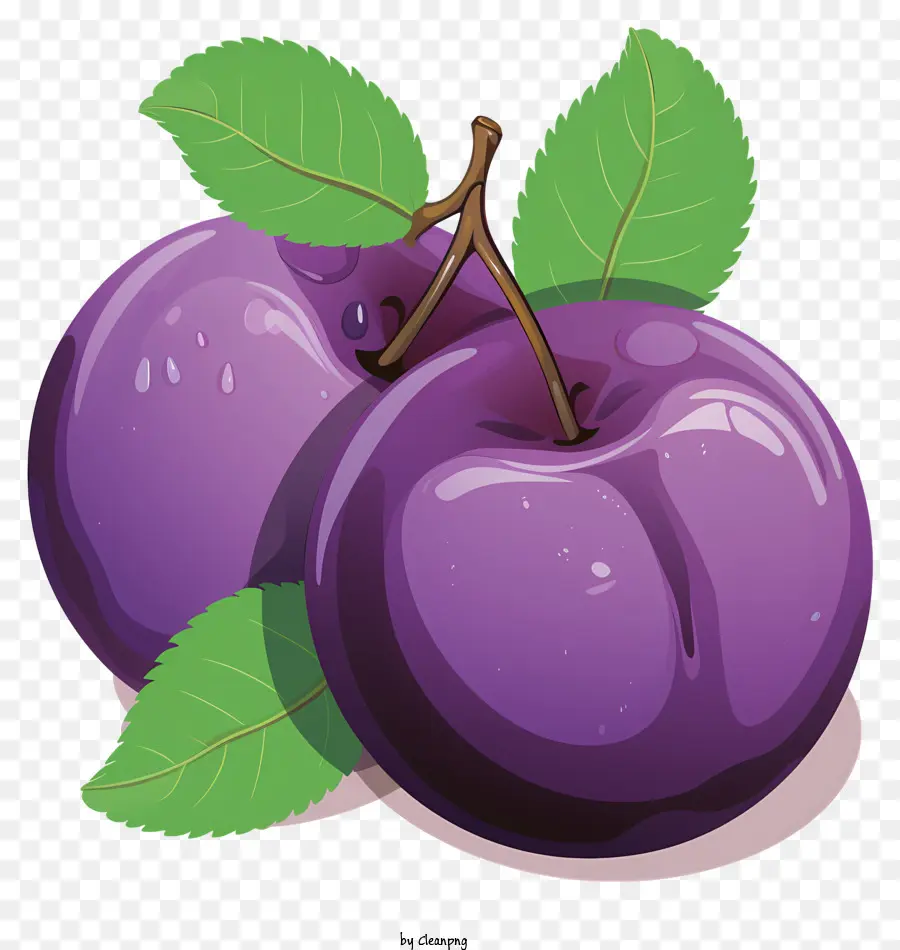 Sketch Style Plum，фиолетовые сливы PNG