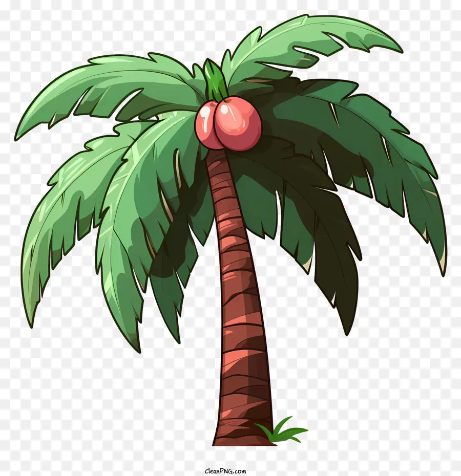 кокосовое дерево в стиле каракули，Мультипликационная пальма PNG
