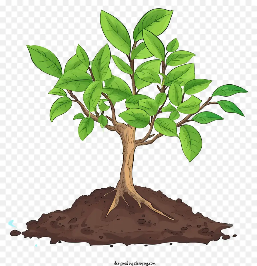Ручное посадочное дерево，зеленое дерево PNG