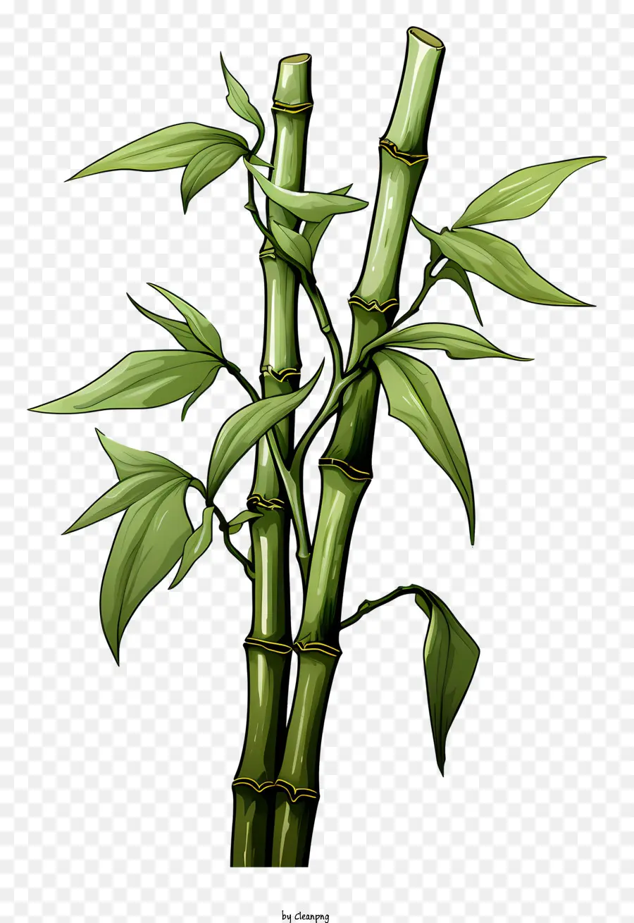 бамбуковый стебель в стиле рисунков，бамбук растение PNG