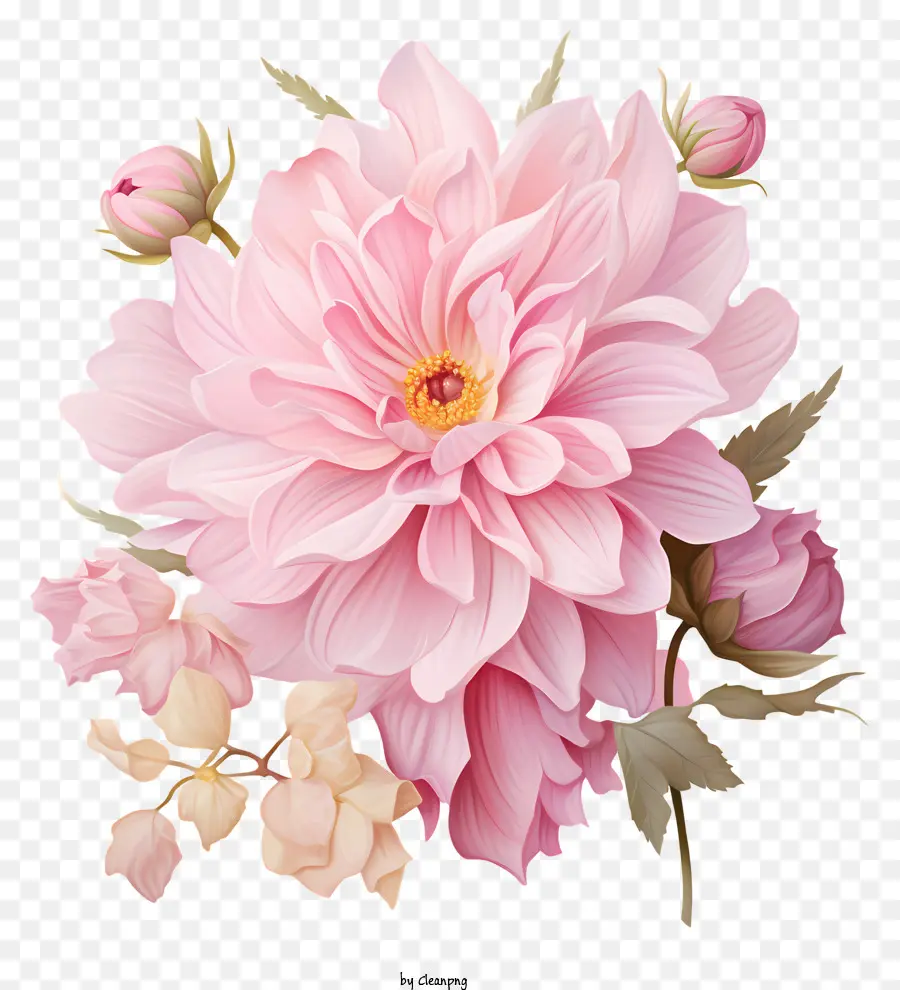 Плоский розовый цветок，цветочная композиция PNG