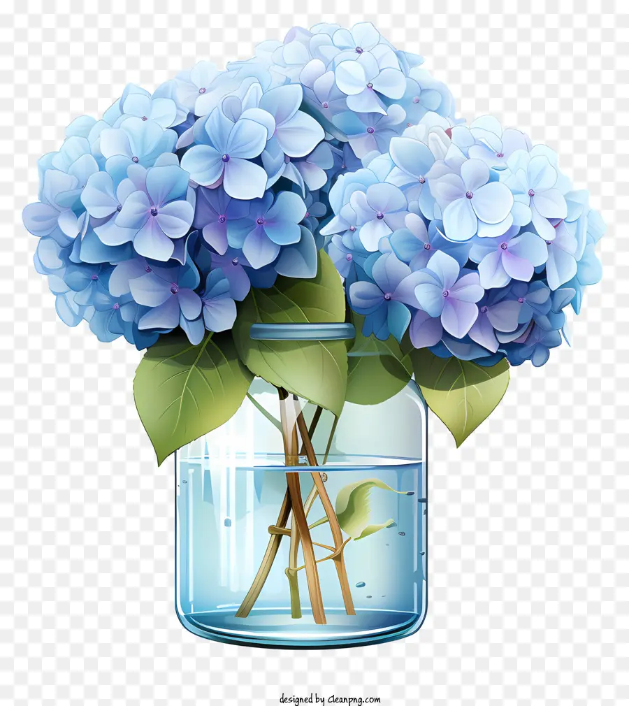 плоская гортензия в банке，синие цветы PNG