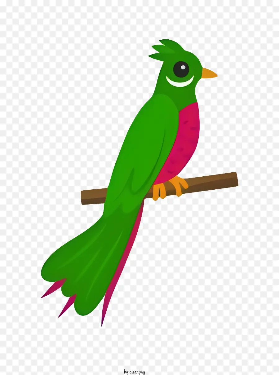 птичий попугай，зеленая и красная птица PNG