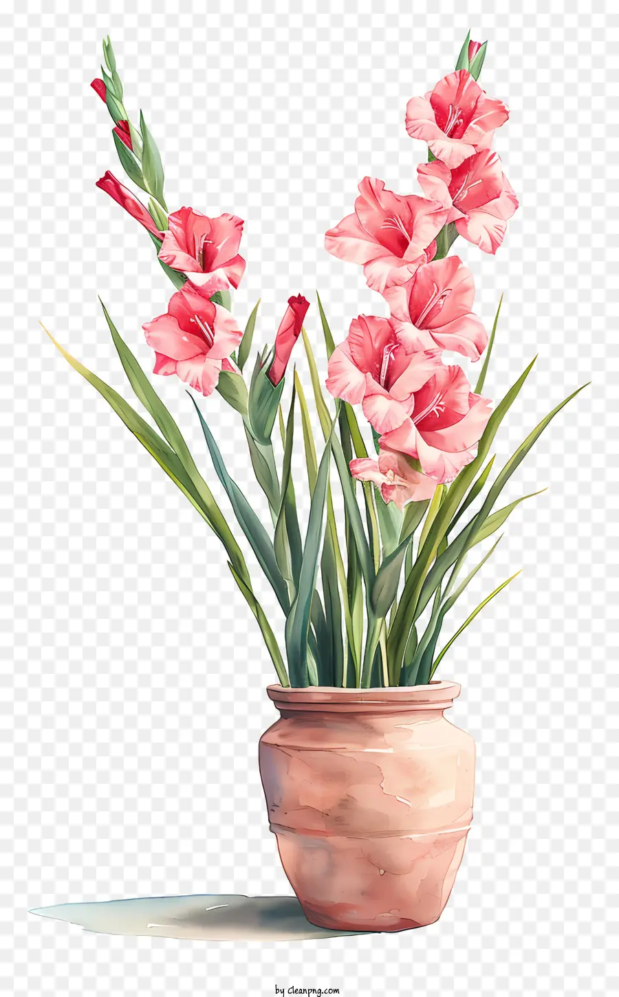 Гладиолус，цветочная композиция PNG