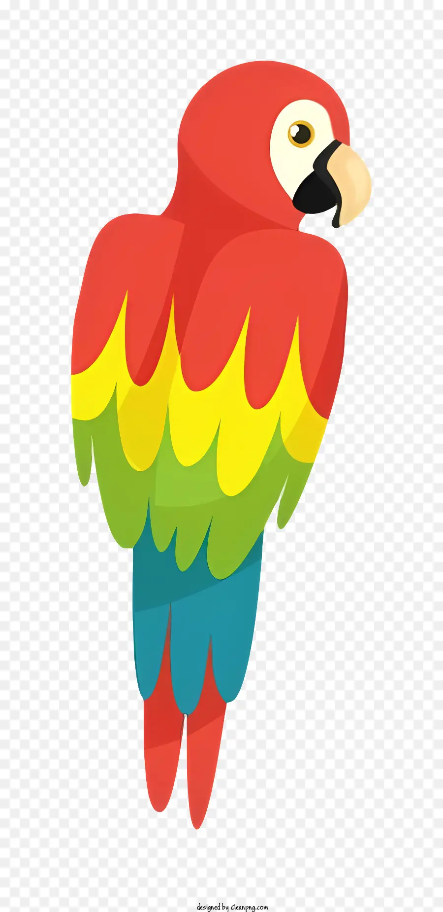 птичий попугай，красочный попугай PNG