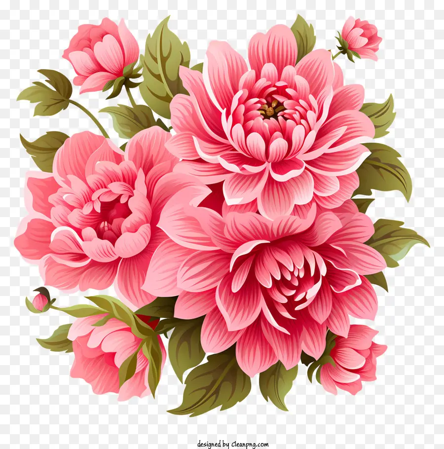 Плоский розовый цветок，Винтаж иллюстрация PNG