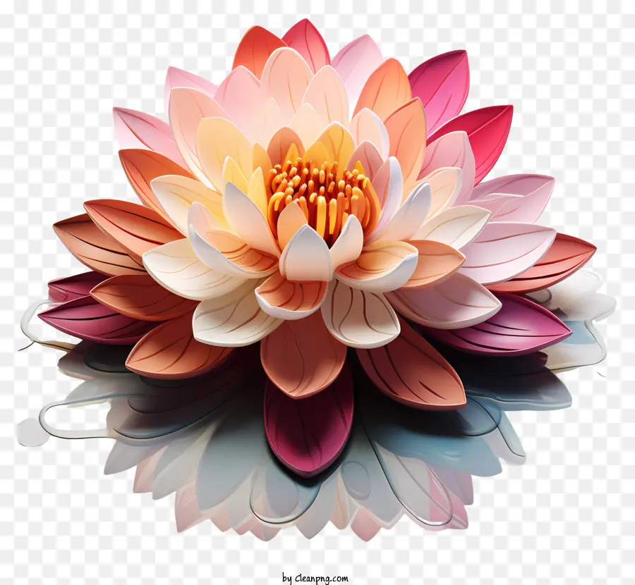 разноцветные краски лотос цветок，Цветок Лотоса PNG
