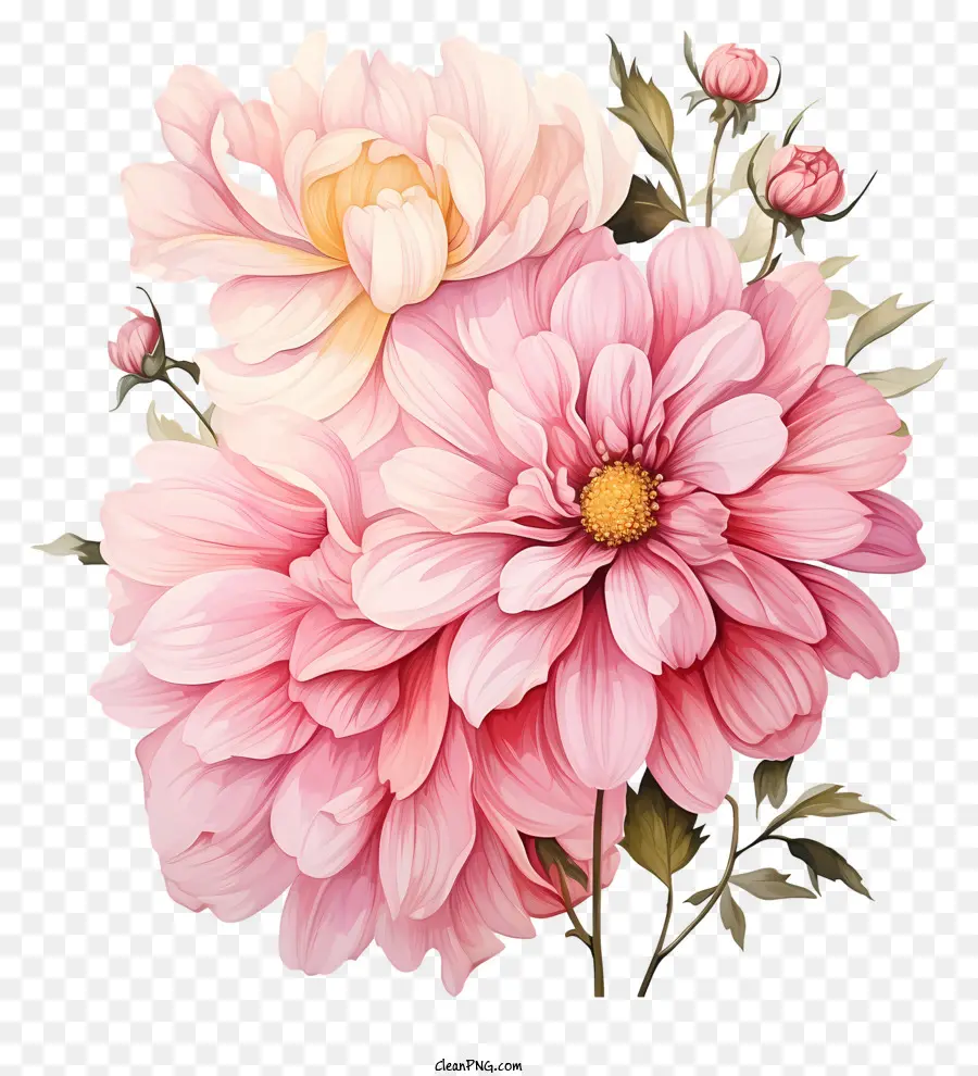 Ручный розовый цветок，Розовые цветы PNG