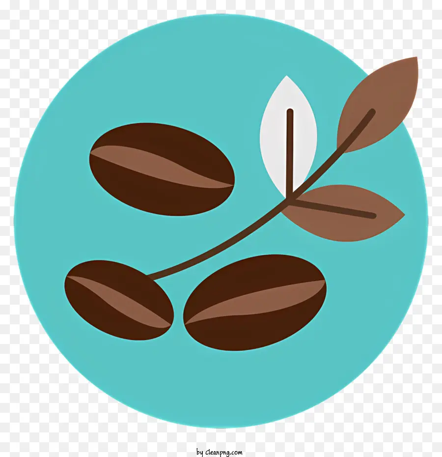 Кофейные элементы，кофе в зернах PNG