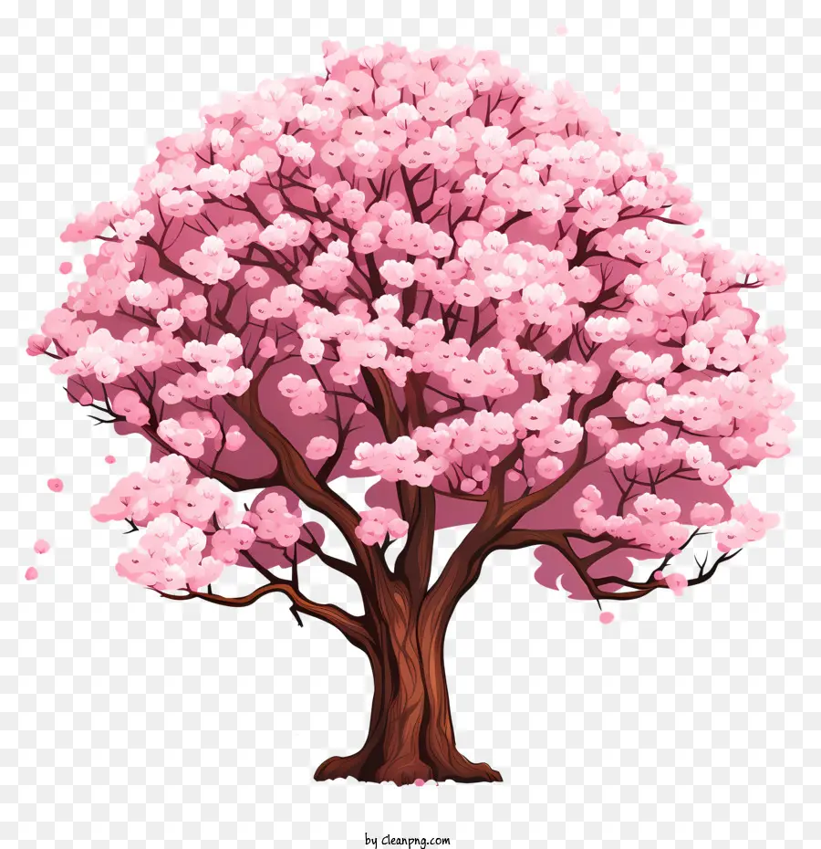 Дерево вишневой вишневой кости в стиле каракуля，розовые цветы PNG
