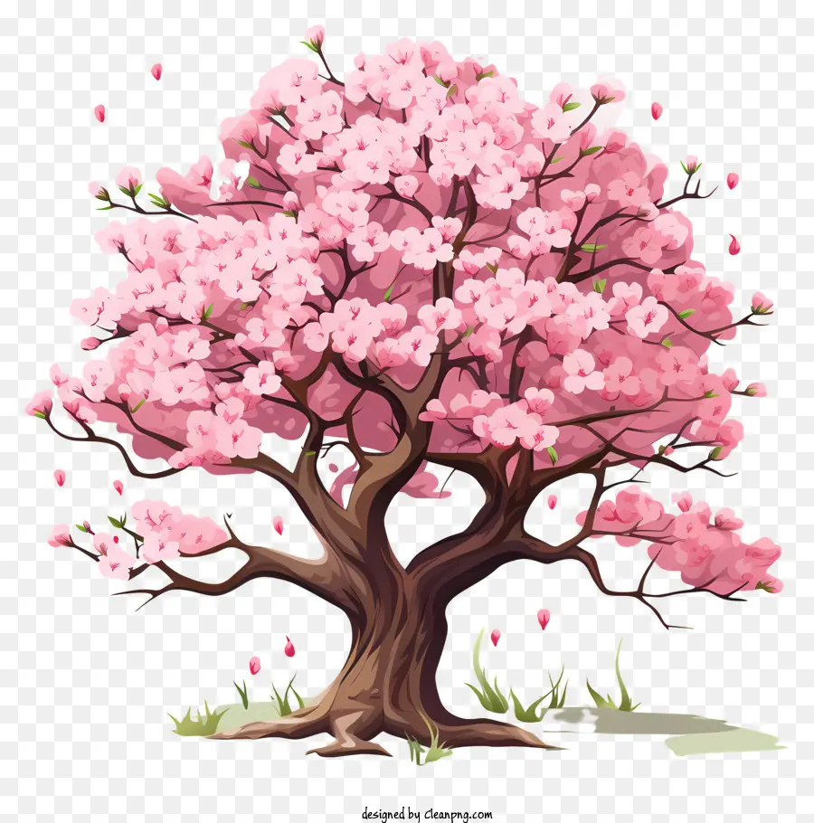 Дерево вишневой вишни в стиле рисунков，Розовое вишневое дерево PNG