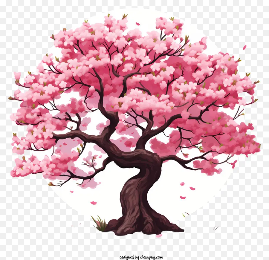 эскиз стиль вишнево цветет，розовые цветы PNG