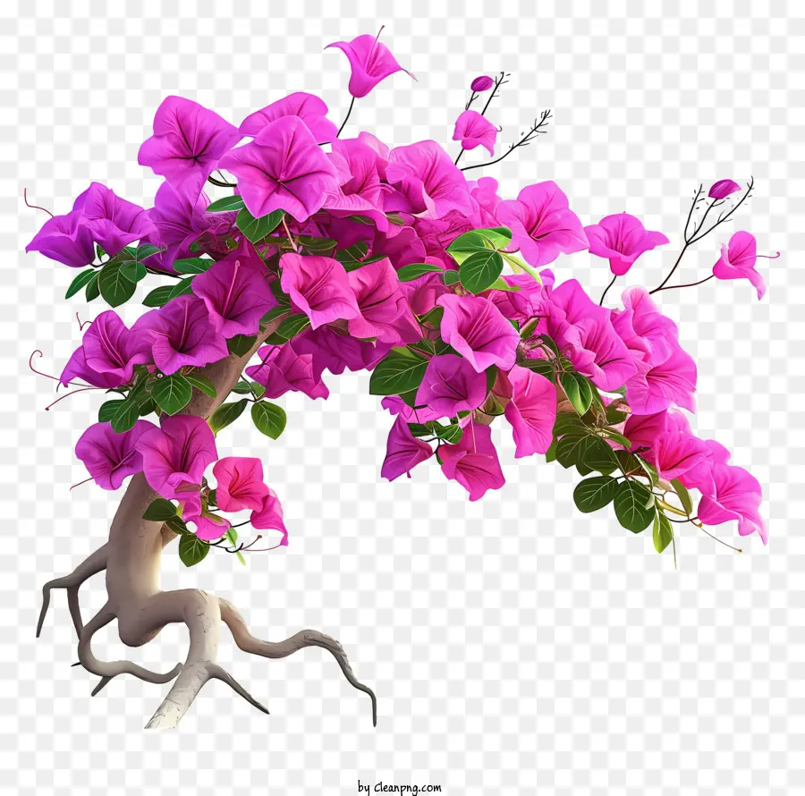 Cartoon Bougainvillea，Розовое цветущее дерево PNG