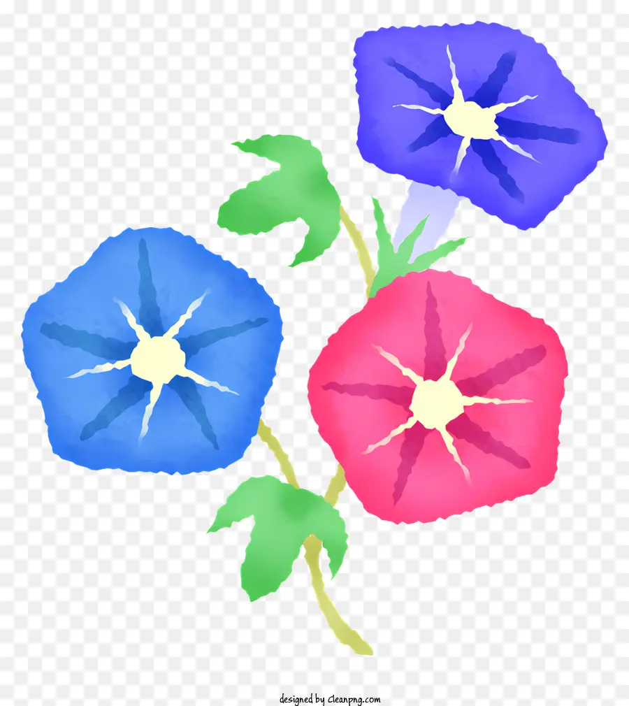Розовые цветы，синие цветы PNG