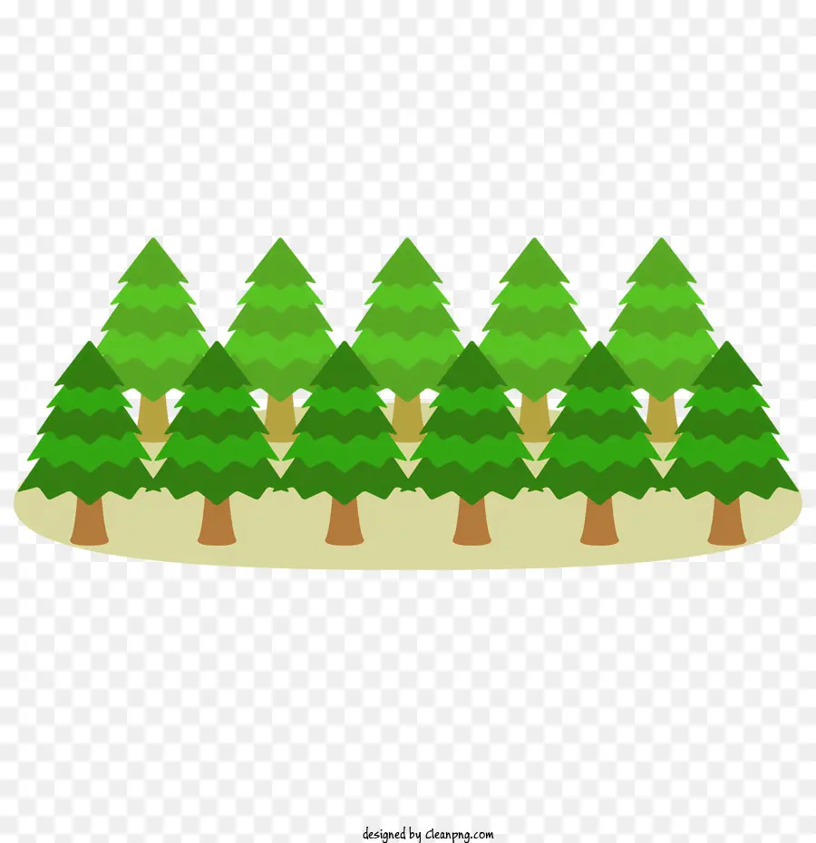 кедр，зеленые деревья PNG