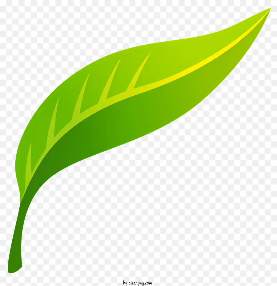 чайный лист，зеленый лист PNG