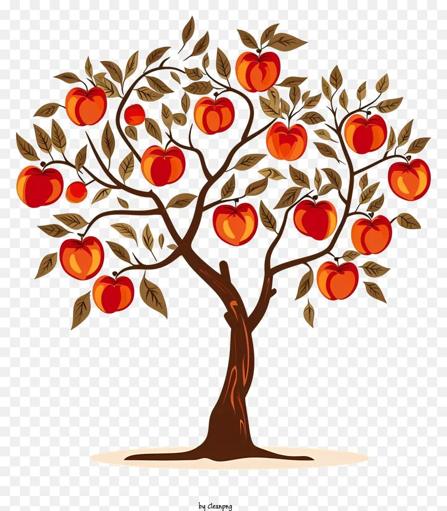 яблоня，фруктовые ветви PNG