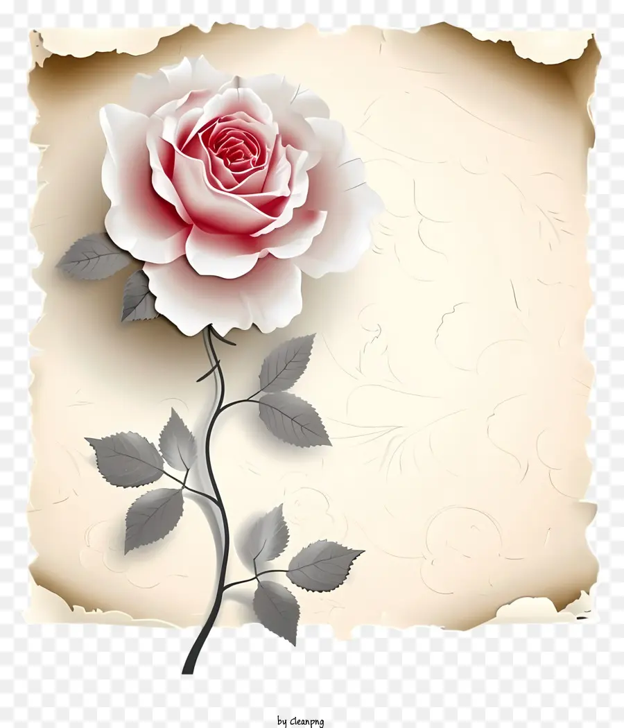 Розовая и бумажная векторная рисунка дизайн，Роза PNG