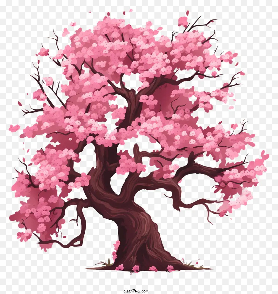 Дерево вишневой вишни，Дерево изображение PNG