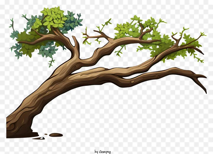 ветвь дерева в стиле каракули，зеленые листья PNG