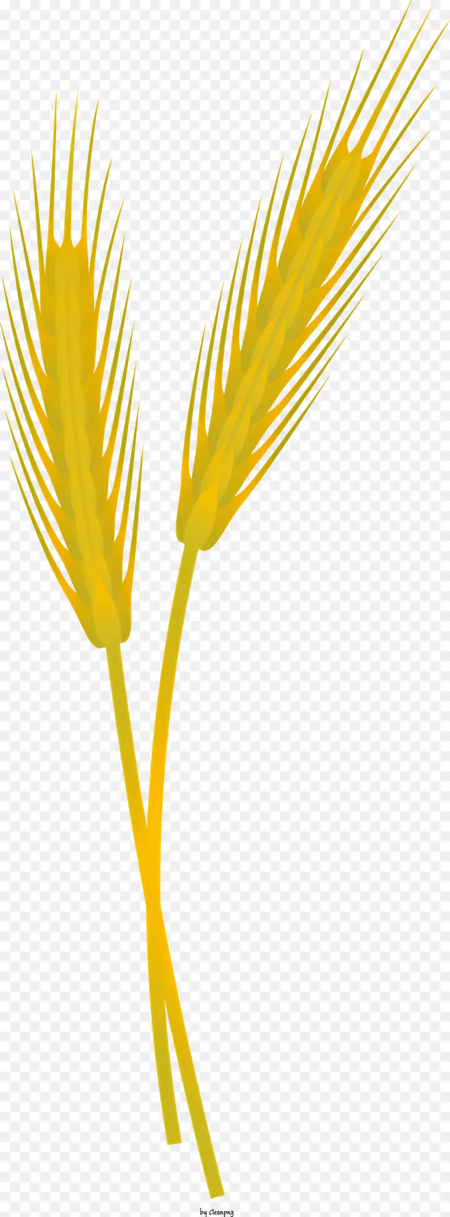 цветок лотоса，Пшеничные стебли PNG