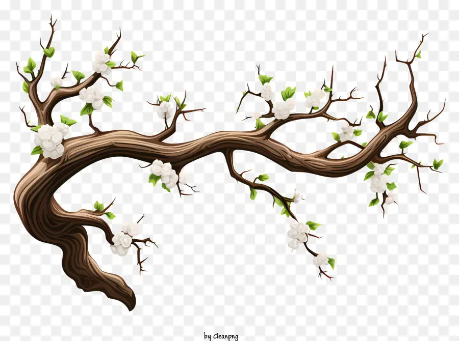 ветвь дерева в стиле эскиза，ветка дерева PNG