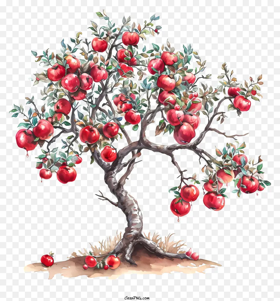 Дерево с яблоками，красные яблоки на дереве PNG