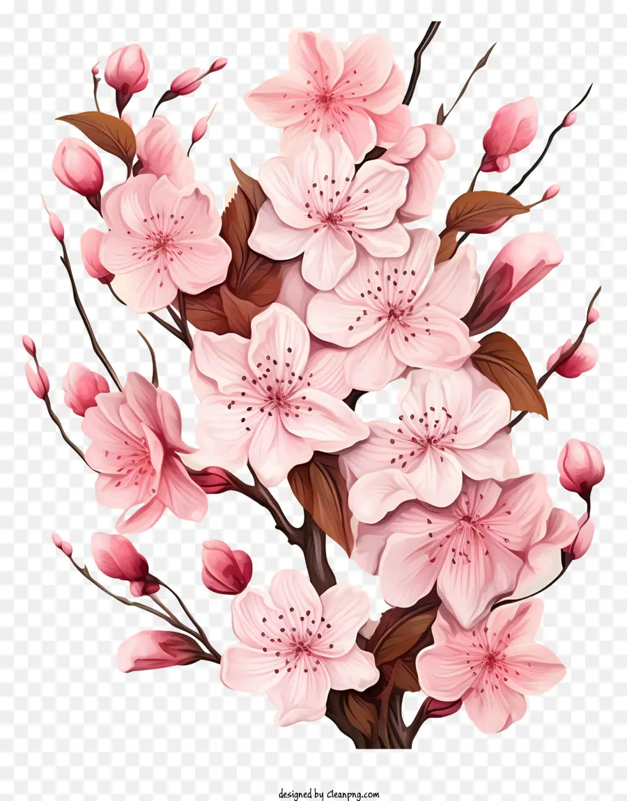 Реалистичный стиль вишневый ветвь цветет，Вишневое дерево PNG