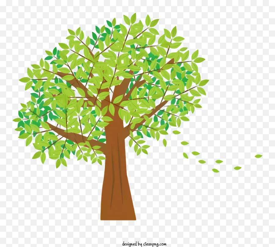 зеленое дерево，листья дуют PNG