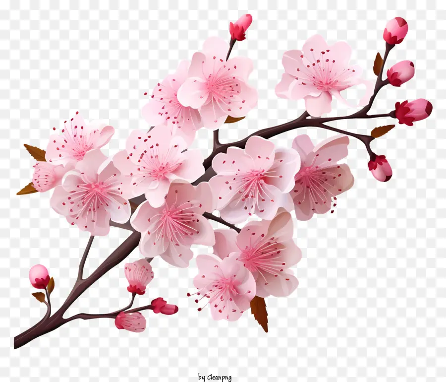 Реалистичный 3d стиль вишневой ветвь цветет，Сакура PNG