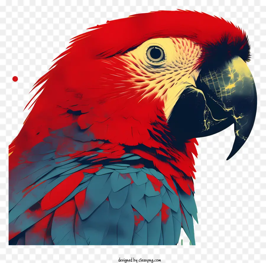 Попугай，красный и синий попугай PNG