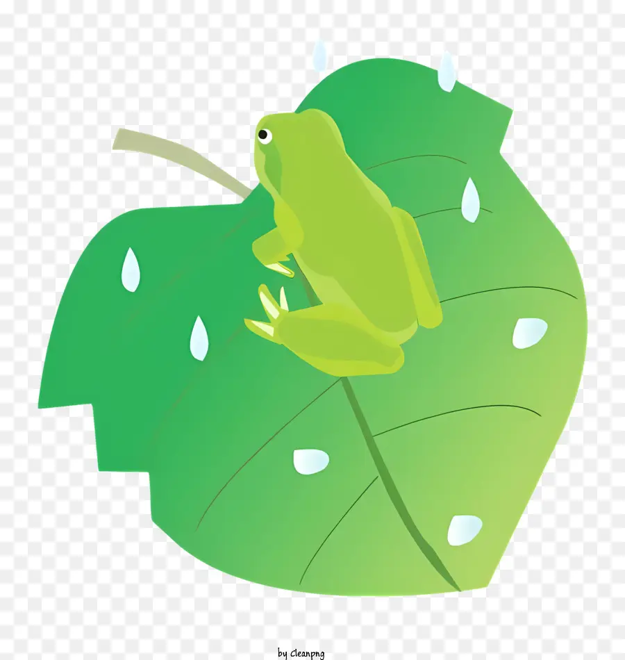 Лягушка，зеленый лист PNG