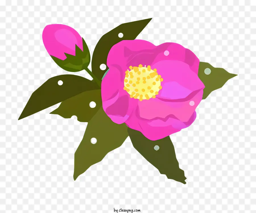 розовый цветок，Цветок с розовыми лепестками PNG