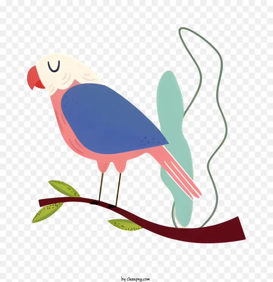 птичий попугай，мультфильм птица PNG
