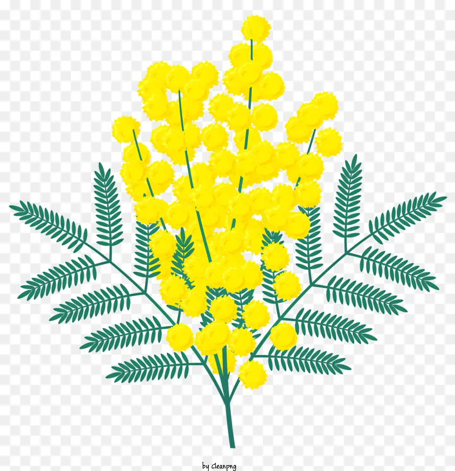цветок，желтые цветы PNG