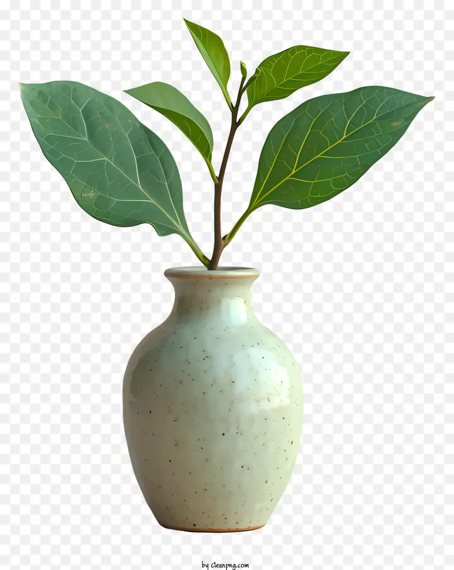 Ваза，белая ваза PNG